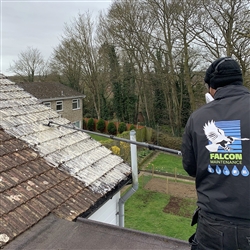 Moss Removal and Roof Cleaning Ipswich, Suffolk and Essex